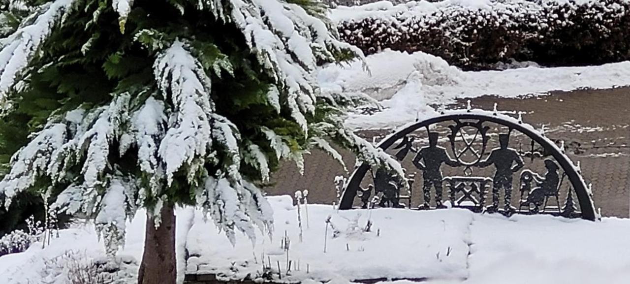Fewo Harz Haennig 1 Wieda Buitenkant foto
