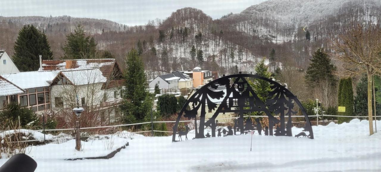 Fewo Harz Haennig 1 Wieda Buitenkant foto