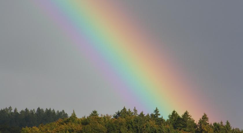 Fewo Harz Haennig 1 Wieda Kamer foto