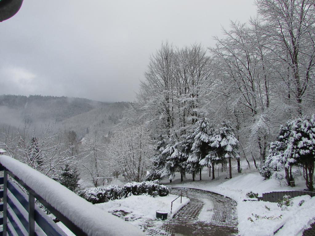 Fewo Harz Haennig 1 Wieda Buitenkant foto