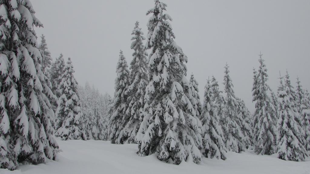 Fewo Harz Haennig 1 Wieda Buitenkant foto