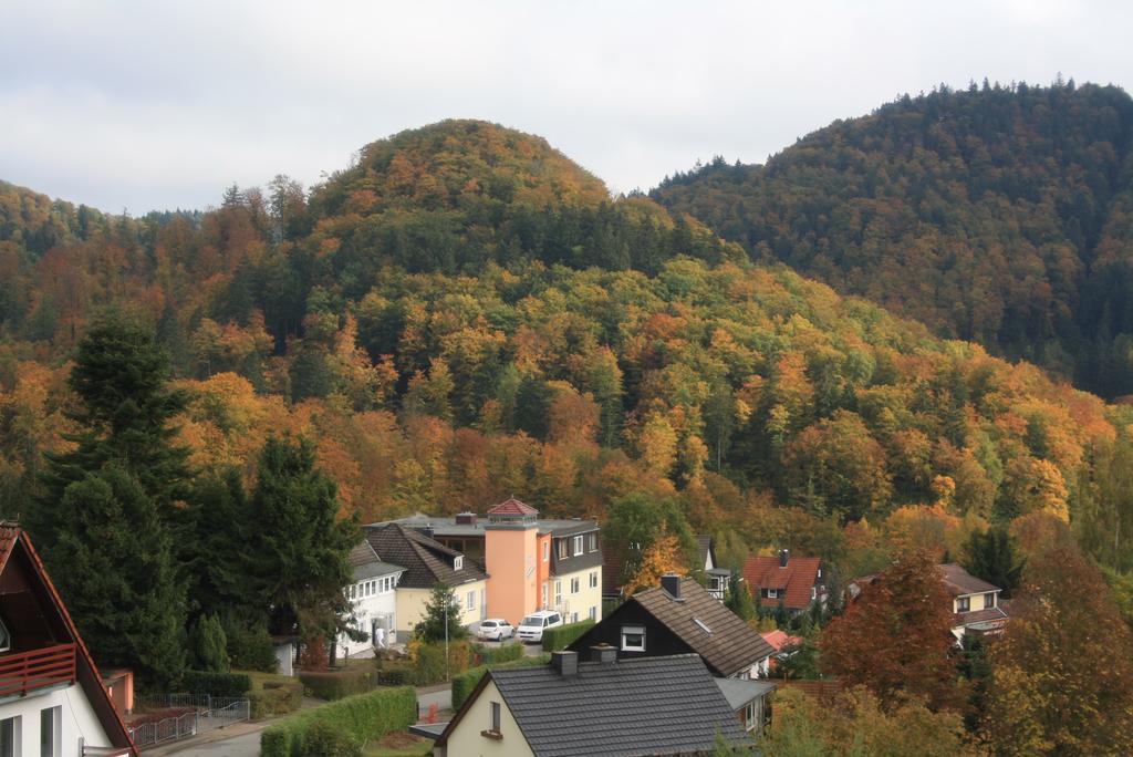 Fewo Harz Haennig 1 Wieda Buitenkant foto